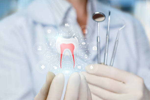 Best Dental Fillings (Composite and Amalgam)  in South Kensington, MD